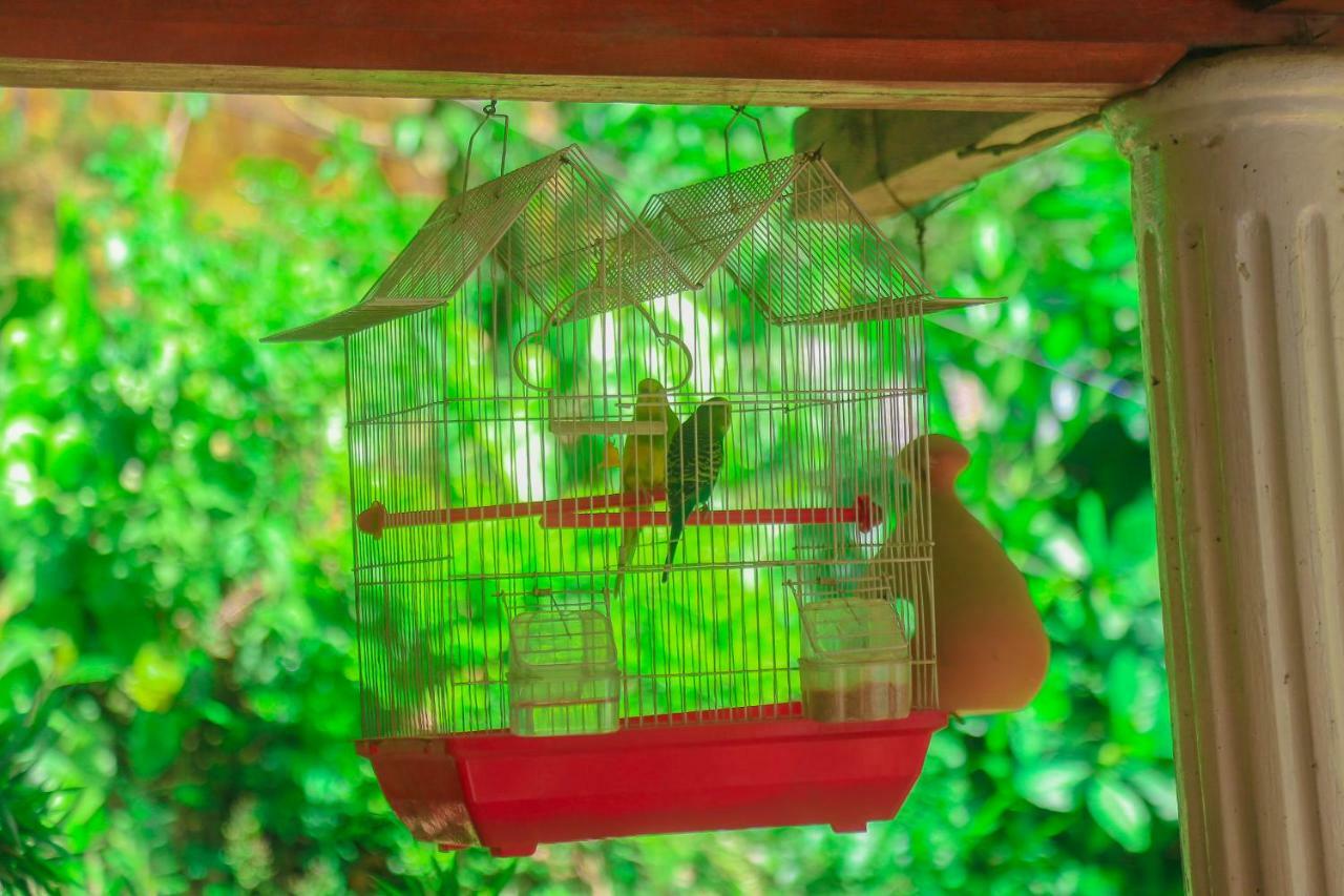Rustle Hill Home Stay-エッラ エクステリア 写真